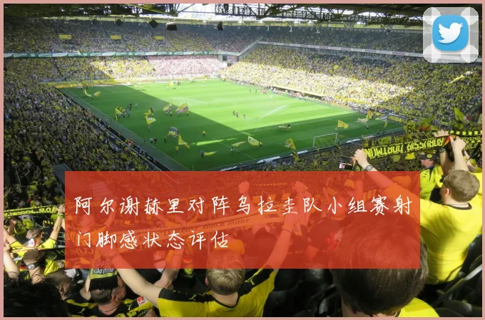 阿尔谢赫里对阵乌拉圭队小组赛射门脚感状态评估