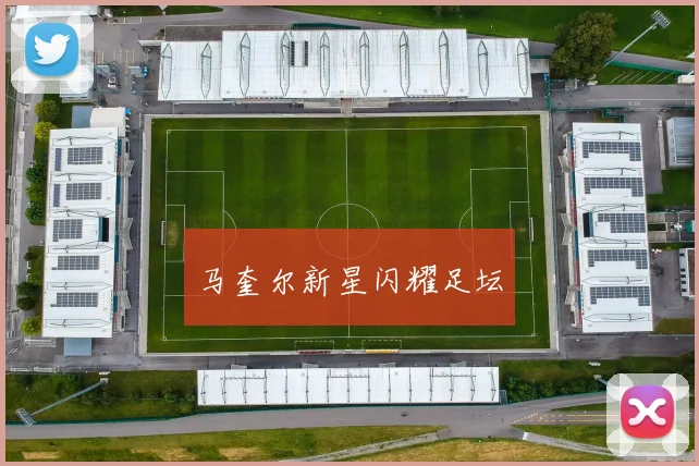 马奎尔新星闪耀足坛