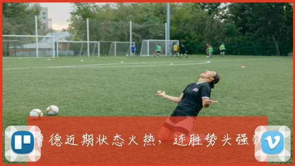 鲁德近期状态火热，连胜势头强劲