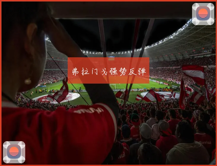 弗拉门戈强势反弹