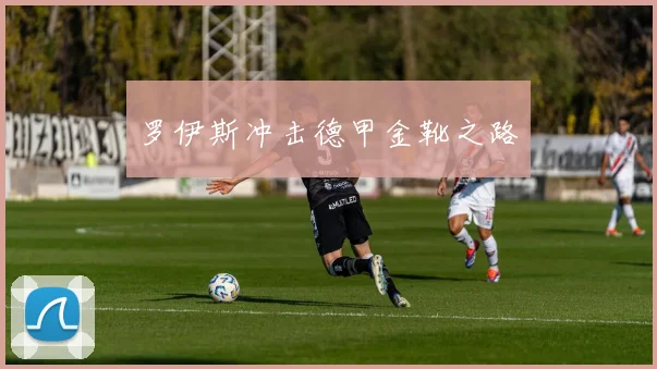 罗伊斯冲击德甲金靴之路