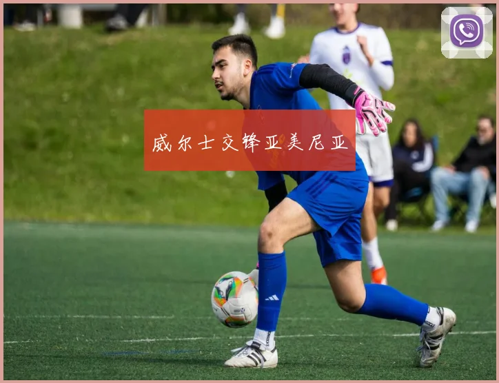 威尔士交锋亚美尼亚