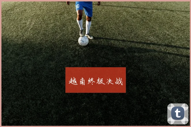 越南终极决战