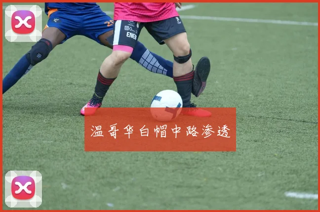 温哥华白帽中路渗透