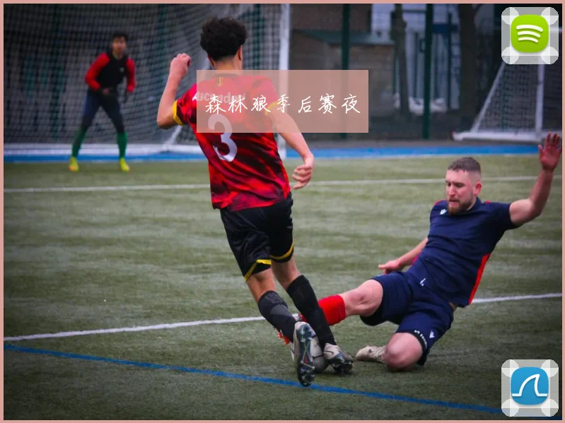 森林狼季后赛夜