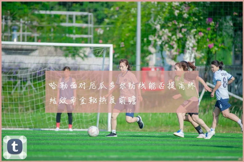 哈勒面对厄瓜多尔防线能否提高终结效率金靴热度前瞻