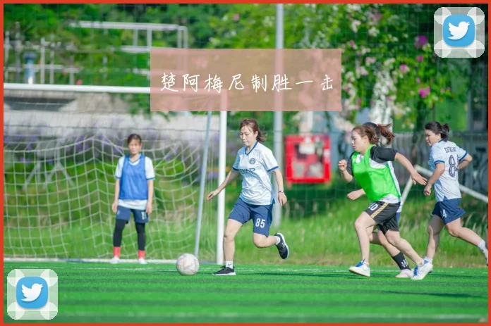 楚阿梅尼制胜一击