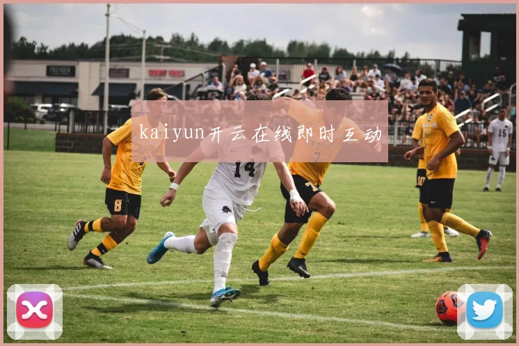 kaiyun开云在线即时互动