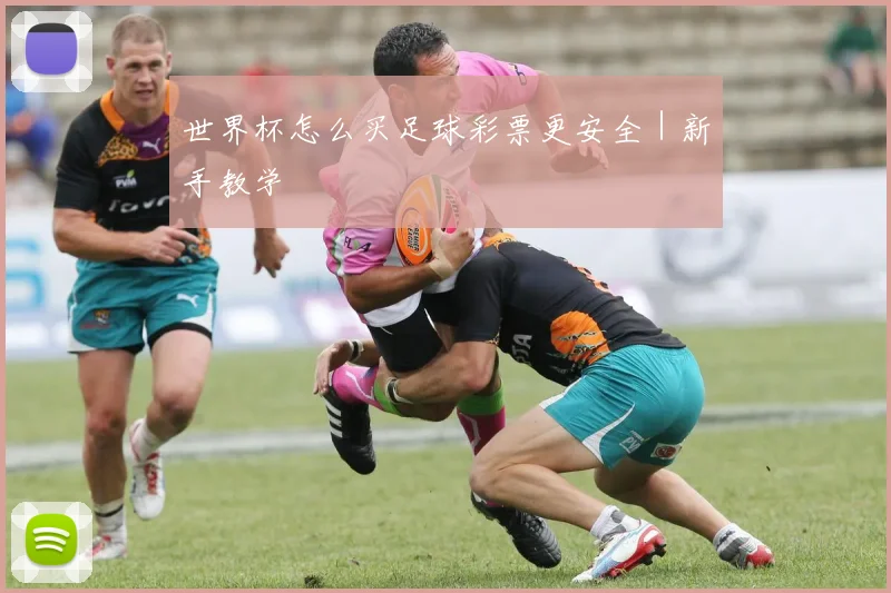 世界杯怎么买足球彩票更安全｜新手教学