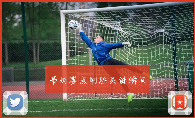 蒂姆赛点制胜关键瞬间