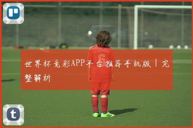 世界杯竞彩APP平台推荐手机版｜完整解析