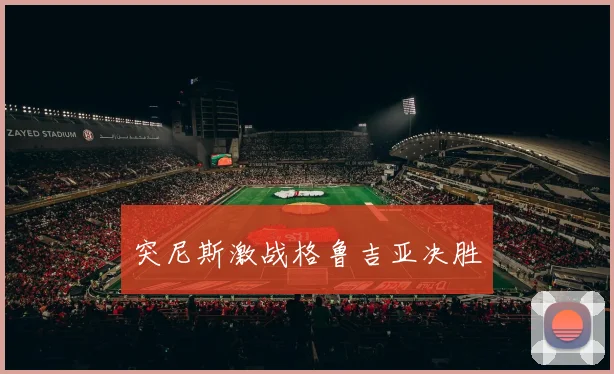 突尼斯激战格鲁吉亚决胜
