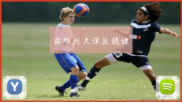 兹维列夫保发稳健