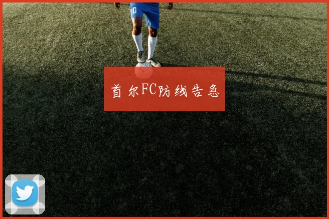 首尔FC防线告急