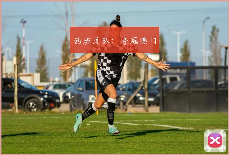 西班牙队：夺冠热门