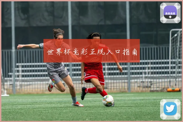 世界杯竞彩正规入口指南