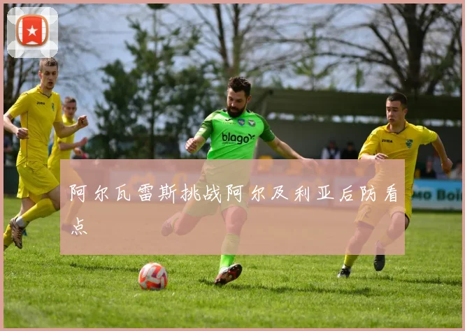 阿尔瓦雷斯挑战阿尔及利亚后防看点