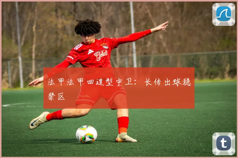 法甲法甲回追型中卫：长传出球稳禁区