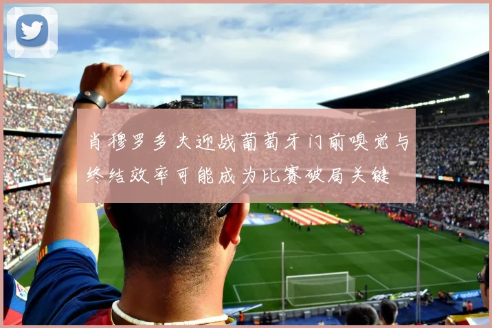 肖穆罗多夫迎战葡萄牙门前嗅觉与终结效率可能成为比赛破局关键